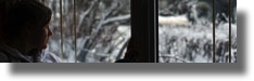 Stacks Image 576