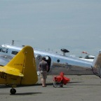 Beech18_Texantail